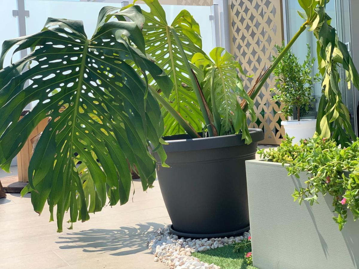 Dalu Suite Terrace Μπάρι Εξωτερικό φωτογραφία